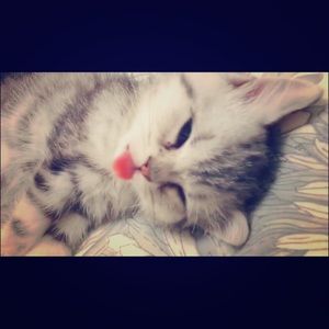 Meet your Posher, Heather